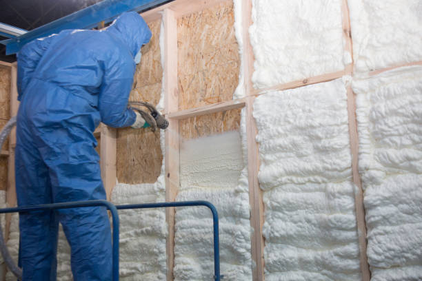 Best Attic Insulation Installation  in USA